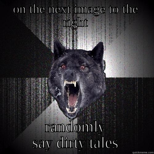 ON THE NEXT IMAGE TO THE RIGHT RANDOMLY SAY DIRTY TALES Insanity Wolf