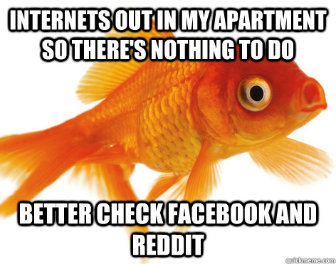 Internets out in my apartment so there's nothing to do Better check facebook and reddit  Forgetful Fish