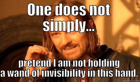 ONE DOES NOT SIMPLY... PRETEND I AM NOT HOLDING A WAND OF INVISIBILITY IN THIS HAND. Boromir