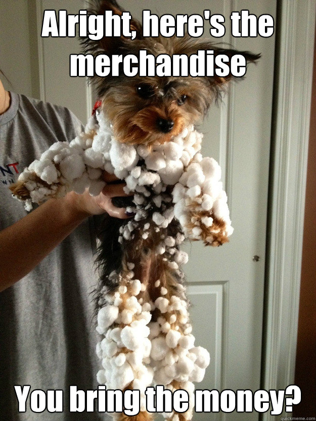 Alright, here's the merchandise You bring the money?  