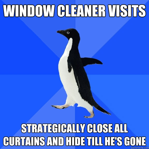 Window cleaner visits Strategically close all curtains and hide till he's gone  Socially Awkward Penguin
