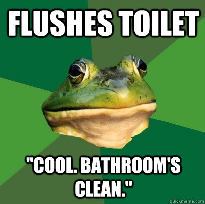 FLUSHES TOILET 