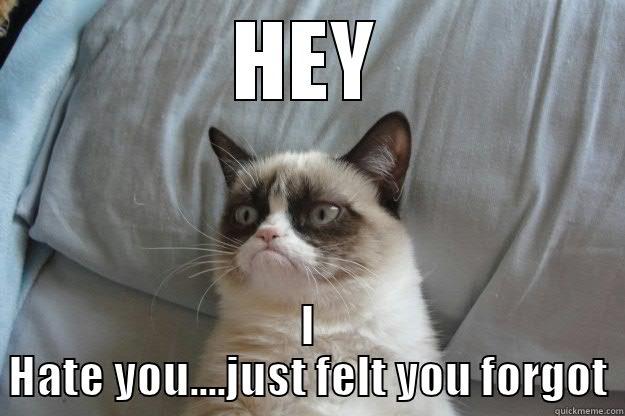 HEY I HATE YOU....JUST FELT YOU FORGOT Grumpy Cat