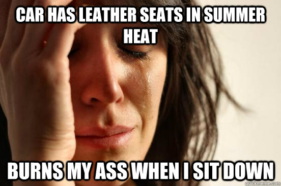Car has leather seats in summer heat Burns my ass when i sit down   First World Problems