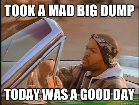 Took a mad big dump Today was a good day  today was a good day