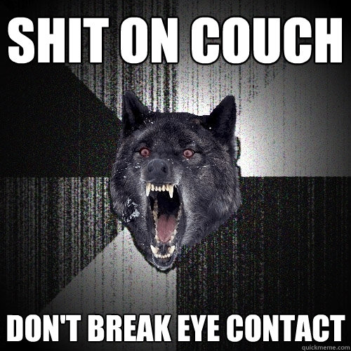 Shit on Couch don't break eye contact  Insanity Wolf