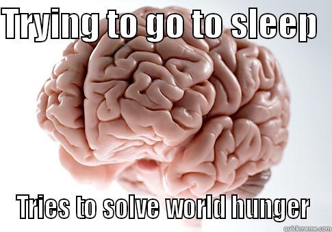 TRYING TO GO TO SLEEP   TRIES TO SOLVE WORLD HUNGER Scumbag Brain