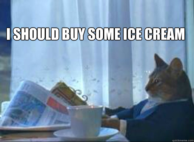 I should buy some ice cream   I should buy a boat cat