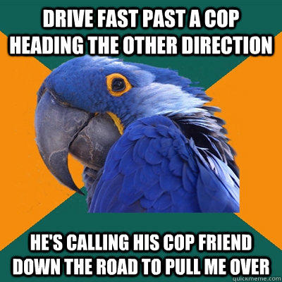 Drive fast past a cop heading the other direction he's calling his cop friend down the road to pull me over  Paranoid Parrot