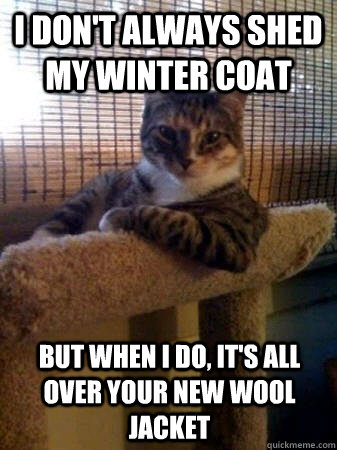 i don't always shed my winter coat but when I do, it's all over your new wool jacket  The Most Interesting Cat in the World