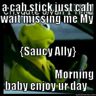 A CAH STICK JUST CAH WAIT MISSING ME MY   {SAUCY ALLY}                                                                          MORNING BABY ENJOY UR DAY  Misc