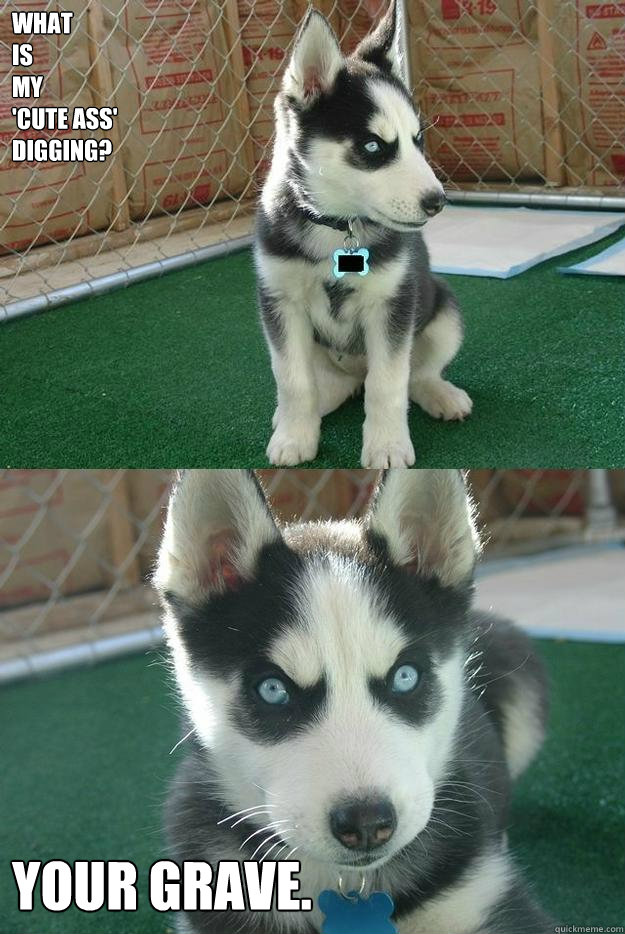 What 
is 
my 
'cute ass' 
digging? 

your grave.  Insanity puppy