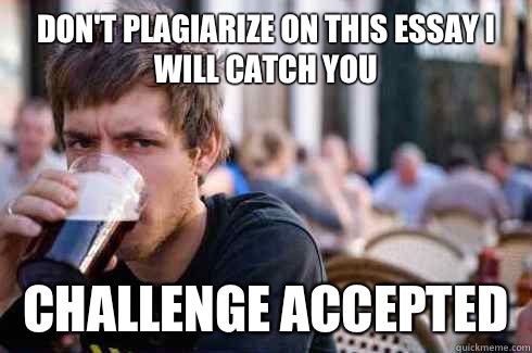 Don't plagiarize on this essay I will catch you Challenge Accepted  Lazy College Senior