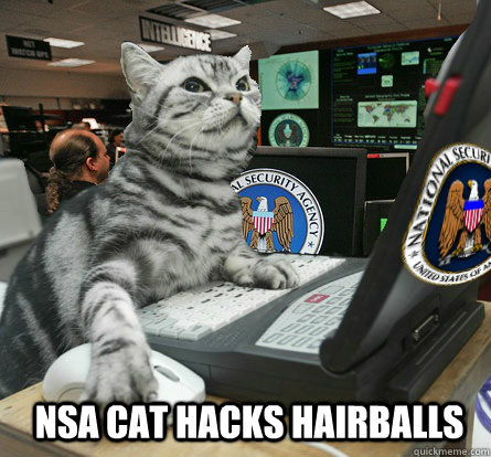 NSA CAT HACKS HAIRBALLS - NSA CAT HACKS HAIRBALLS  NSA CAT