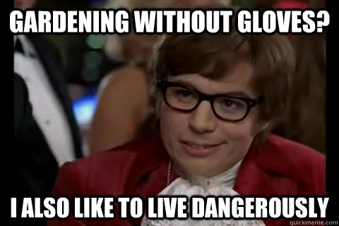 gardening without gloves? i also like to live dangerously - gardening without gloves? i also like to live dangerously  Dangerously - Austin Powers