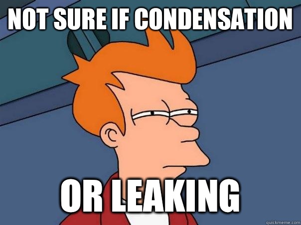 Not sure if condensation Or leaking  Futurama Fry