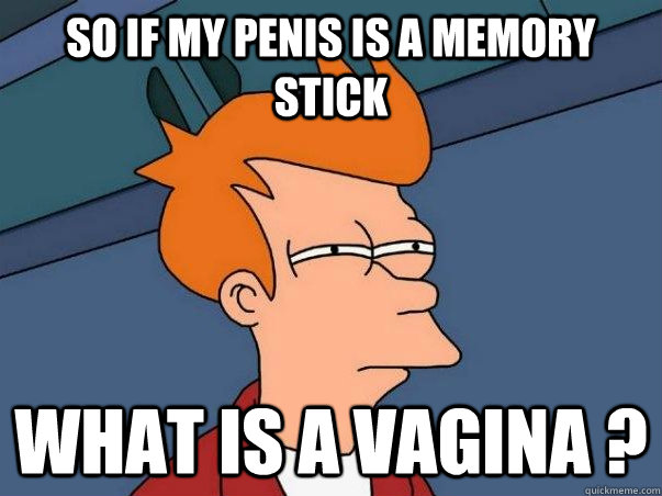 So if my penis is a memory stick  what is a vagina ?  Not sure Fry