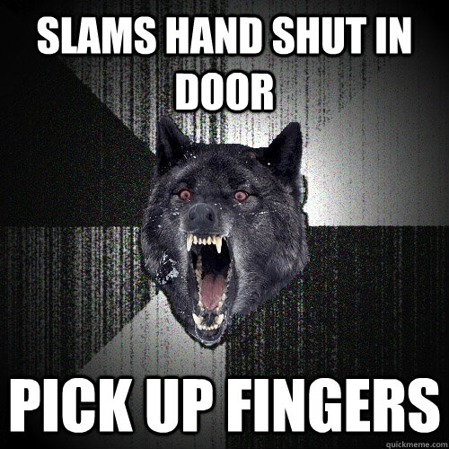 slams hand shut in door pick up fingers  Insanity Wolf