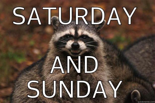 YOU KNOW WHATS BETTER THAN FRIDAY - SATURDAY AND SUNDAY Evil Plotting Raccoon