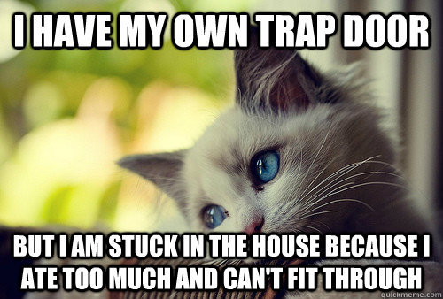 i have my own trap door but i am stuck in the house because i ate too much and can't fit through  First World Problems Cat