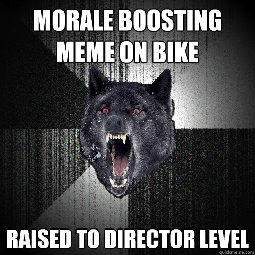 Morale boosting meme on bike Raised to director level  Insanity Wolf bangs Courage Wolf