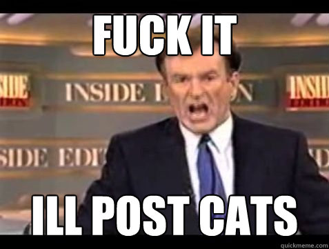 FUCK IT ill post cats - FUCK IT ill post cats  Bill OReilly Rant