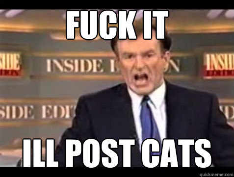 FUCK IT ill post cats  Bill OReilly Rant