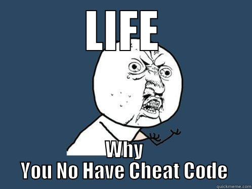 LIFE WHY YOU NO HAVE CHEAT CODE Y U No