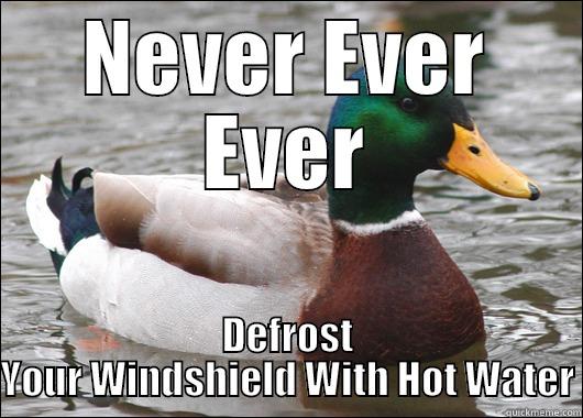 NEVER EVER EVER DEFROST YOUR WINDSHIELD WITH HOT WATER Actual Advice Mallard