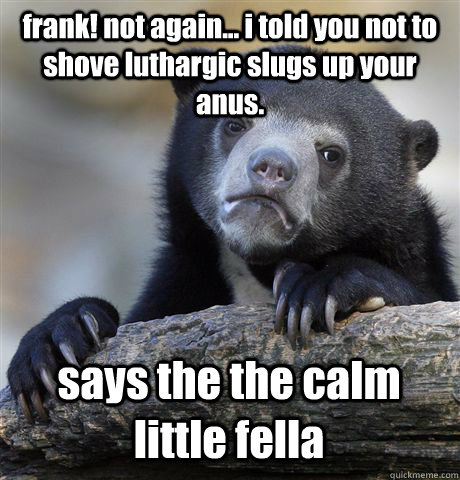 frank! not again... i told you not to shove luthargic slugs up your anus. says the the calm little fella  Confession Bear