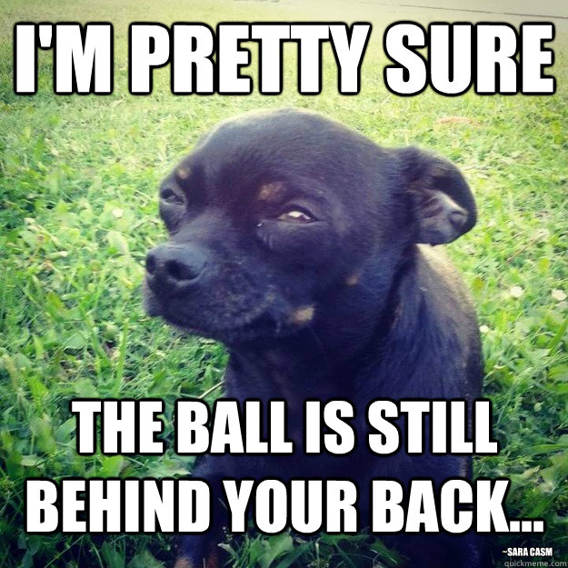 I'M PRETTY SURE THE BALL IS STILL BEHIND YOUR BACK... ~sara casm  Skeptical Dog