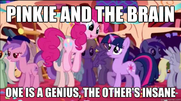 Pinkie and the Brain One is a genius, the other's insane  Pinkie and the brain