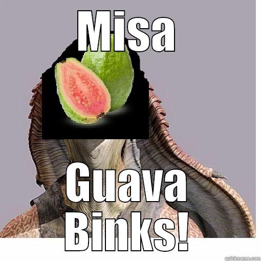 MISA GUAVA BINKS! Misc