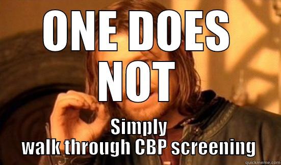 ONE DOES NOT SIMPLY WALK THROUGH CBP SCREENING Boromir