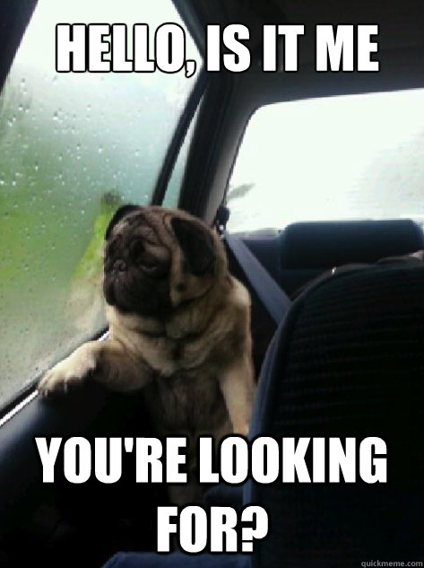 Hello, is it me You're looking for? - Hello, is it me You're looking for?  Introspective Pug