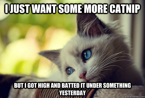 I just want some more catnip But i got high and batted it under something yesterday  First World Problems Cat