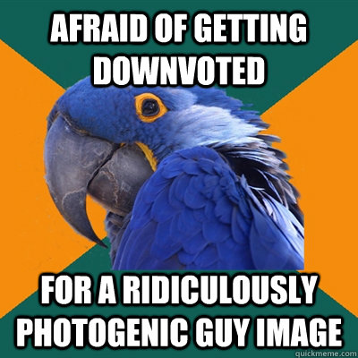 Afraid of getting downvoted For a Ridiculously Photogenic Guy image  Paranoid Parrot