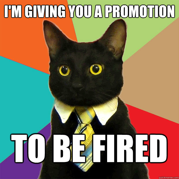 I'm giving you a promotion to be fired - I'm giving you a promotion to be fired  Business Cat