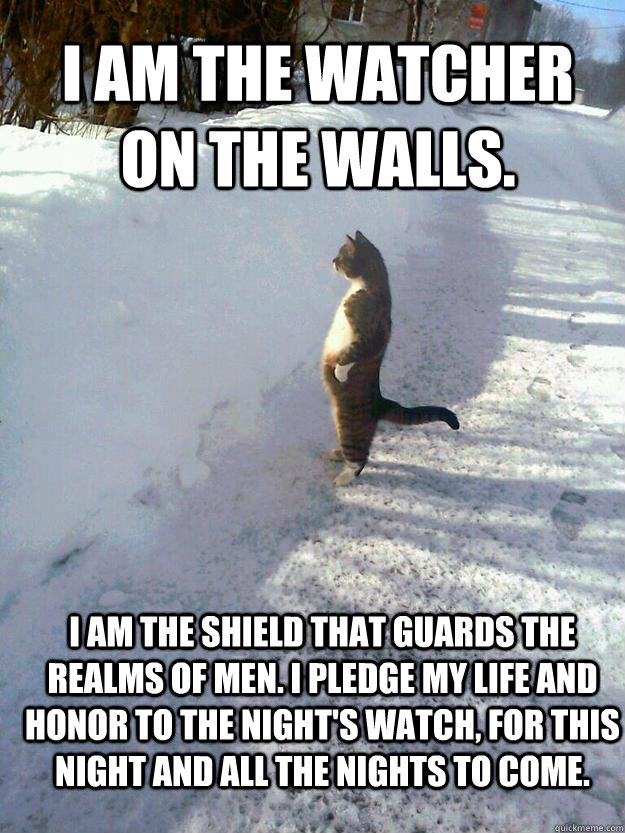 I am the watcher on the walls.  I am the shield that guards the realms of men. I pledge my life and honor to the Night's Watch, for this night and all the nights to come. - I am the watcher on the walls.  I am the shield that guards the realms of men. I pledge my life and honor to the Night's Watch, for this night and all the nights to come.  CatSnowbank