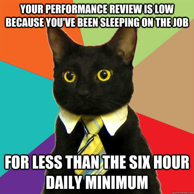 Your performance review is low because you've been sleeping on the job for less than the six hour daily minimum - Your performance review is low because you've been sleeping on the job for less than the six hour daily minimum  Business Cat