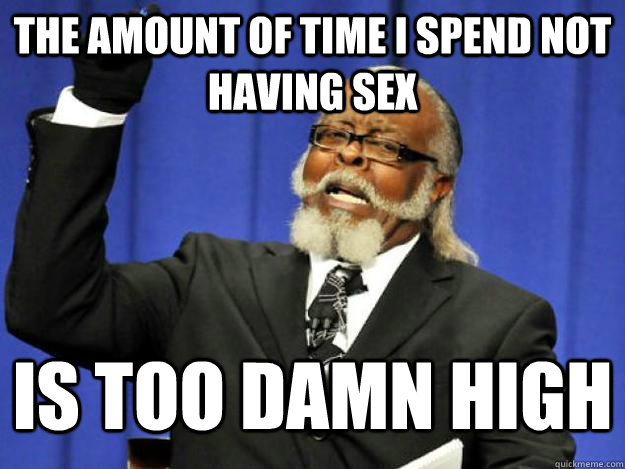 the amount of time i spend not having sex is too damn high - the amount of time i spend not having sex is too damn high  Toodamnhigh