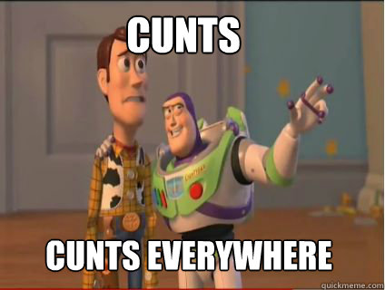 Cunts cunts everywhere - Cunts cunts everywhere  woody and buzz