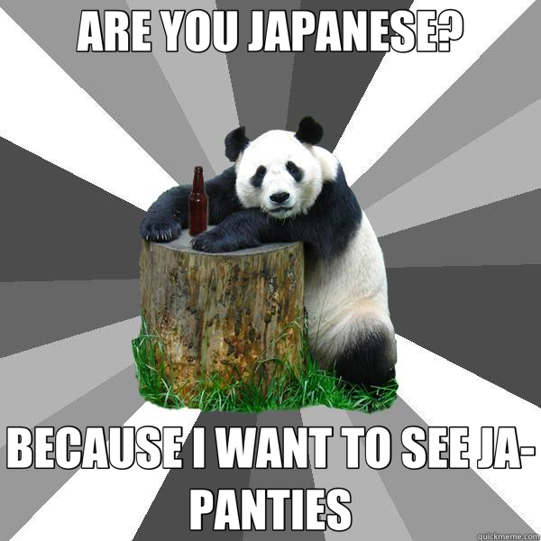 ARE YOU JAPANESE? BECAUSE I WANT TO SEE JA-PANTIES  Pickup-Line Panda