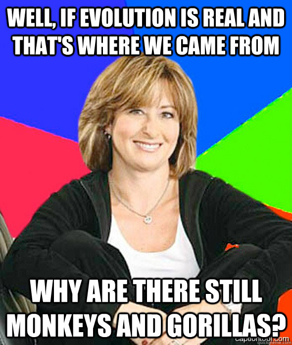 Well, if evolution is real and that's where we came from Why are there still monkeys and gorillas?  sheltered suburban mom