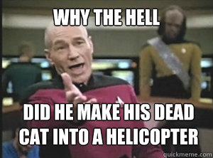 Why the hell Did he make his dead cat into a helicopter  Annoyed Picard