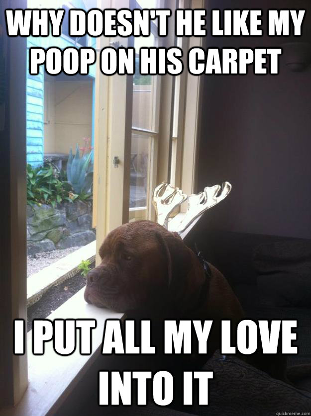 Why doesn't he like my poop on his carpet I put all my love into it  
