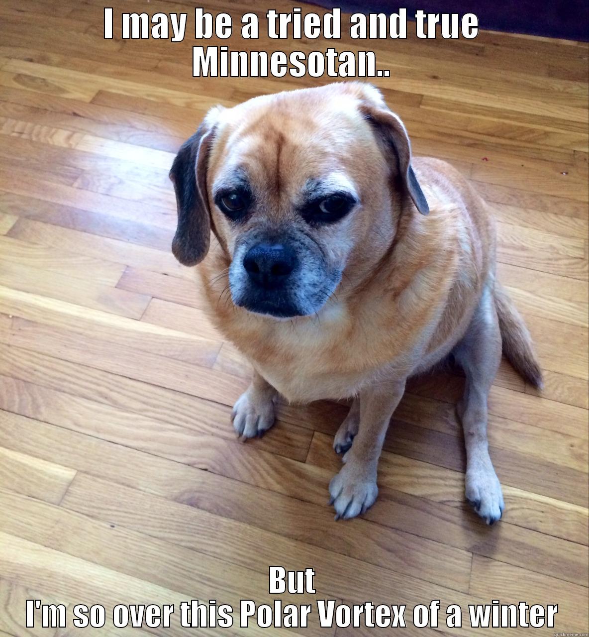 Puggle is over it - I MAY BE A TRIED AND TRUE MINNESOTAN.. BUT I'M SO OVER THIS POLAR VORTEX OF A WINTER Misc