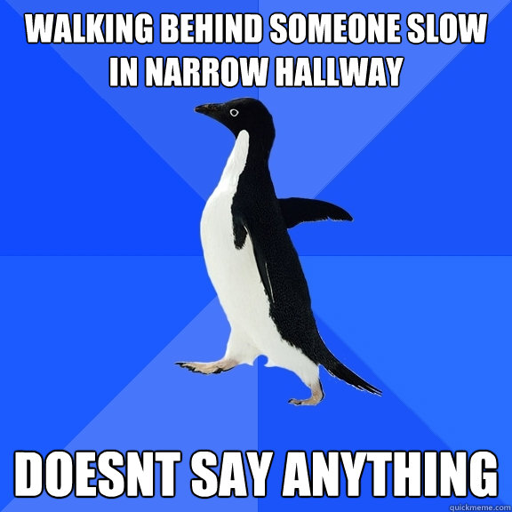 walking behind someone slow in narrow hallway doesnt say anything  Socially Awkward Penguin