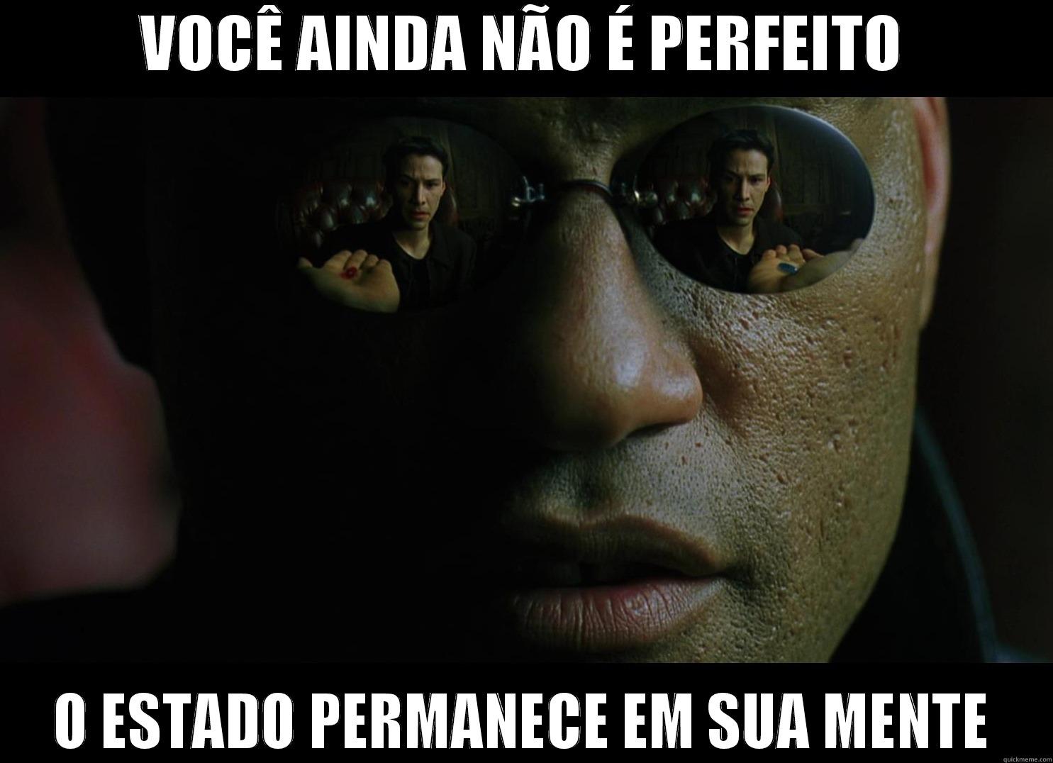VOCÊ AINDA NÃO É PERFEITO O ESTADO PERMANECE EM SUA MENTE Misc