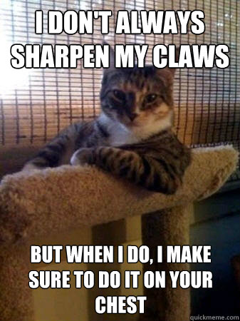 I don't always sharpen my claws but when I do, I make sure to do it on your chest  The Most Interesting Cat in the World